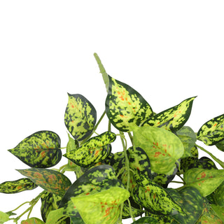 Red Green Evergreen Hanging Bush 60CM Length Indoor