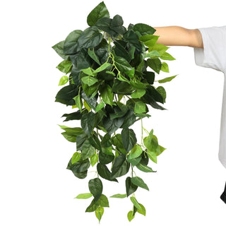 Green Basil Hanging Bush 80CM