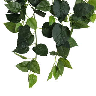 Green Basil Hanging Bush 80CM