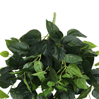 Green Basil Hanging Bush 80CM