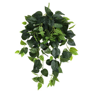 Green Basil Hanging Bush 80CM