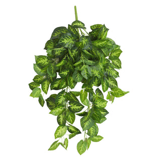 Green Taro leaf  Hanging Bush 80CM