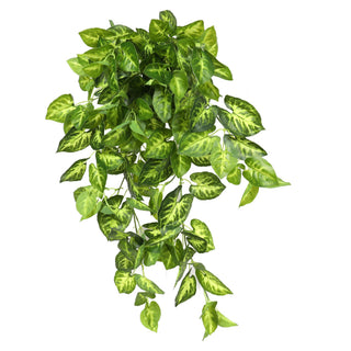 Green Taro leaf  Hanging Bush 80CM