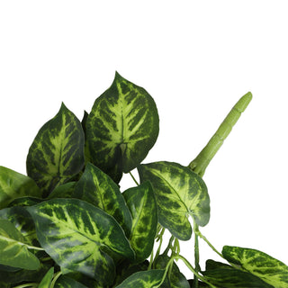 Green Taro leaf  Hanging Bush 80CM