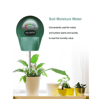 Rund fuktmåler i potteplante.