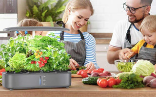 En hydroponisk plantekasse gir friske råvarer direkte på kjøkkenbenken