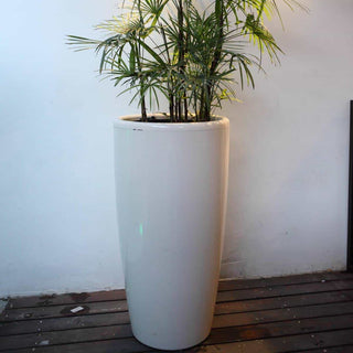 Liquids large selvvaningspotte med grønn plante
