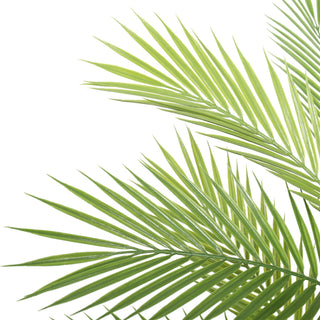 Artificial Mini Palm Tree 96CM Indoor Outdoor