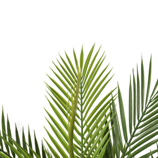 Artificial Mini Palm Tree 138CM Indoor Outdoor