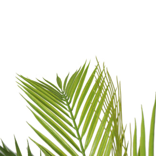 Artificial Mini Palm Tree 180CM Indoor Outdoor