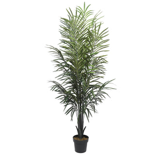 New Areca Palm Tree 180CM Indoor
