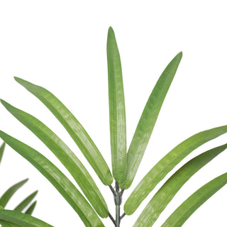 New Areca Palm Tree 180CM Indoor