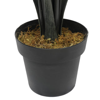New Areca Palm Tree 180CM Indoor