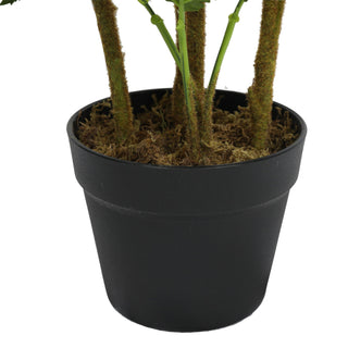 Artificial Cyathea Spp 80CM Indoor