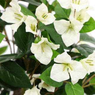 Premium Artificial Bougainvillea White 95CM