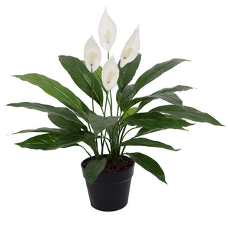 Artificial Spathiphyllum Patinii 60CM