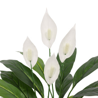 Artificial Spathiphyllum Patinii 60CM