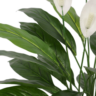 Artificial Spathiphyllum Patinii 60CM