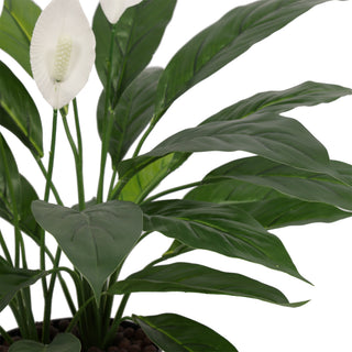 Artificial Spathiphyllum Patinii 60CM