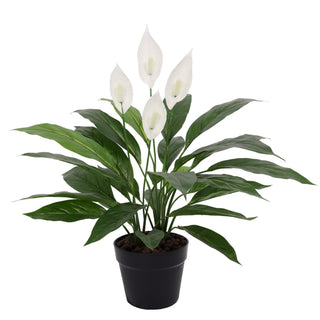 Artificial Spathiphyllum Patinii 60CM