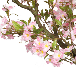 240CM Height Artificial Cherry Blossom Tree Pink Indoor