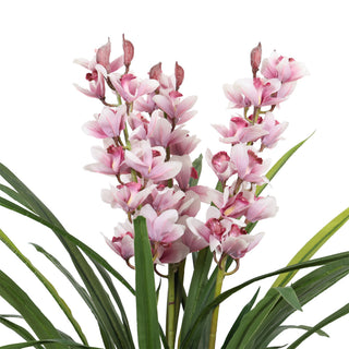 Artificial Big Dwarf Cymbidium 110CM Indoor