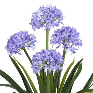 Artificial Narcissus Plant Purple 100CM Indoor
