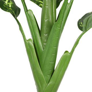 90CM Artificial Dieffenbachia Tree Indoor