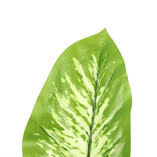 90CM Artificial Dieffenbachia Tree Indoor