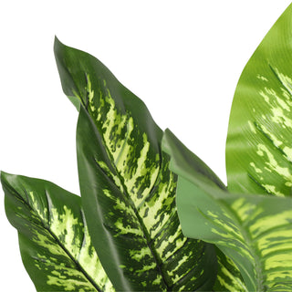 90CM Artificial Dieffenbachia Tree Indoor