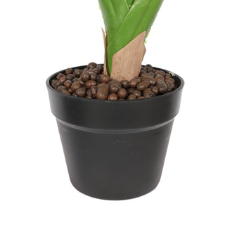 90CM Artificial Dieffenbachia Tree Indoor