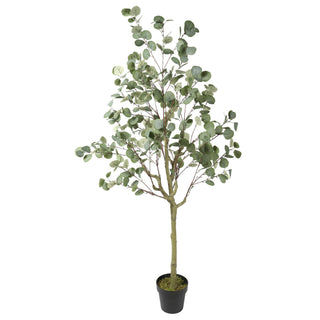 Artificial Eucalyptus White Green 180CM