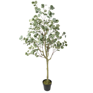 Artificial Eucalyptus White Green 180CM