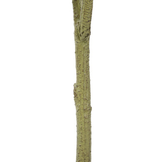 Artificial Eucalyptus White Green 180CM