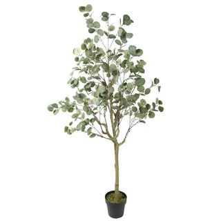Artificial Eucalyptus White Green 180CM
