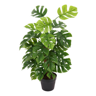 60CM Height Artificial Monstera Tree with Palm Bark Indoor
