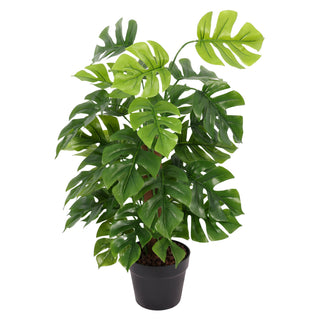 60CM Height Artificial Monstera Tree with Palm Bark Indoor