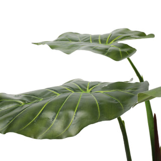 Artificial Taro Tree 100CM Indoor