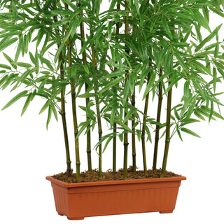Bamboo fence Real bamboo Trunk with PE Leafs 180CM Height