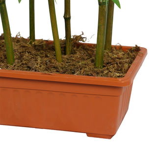 Bamboo fence Real bamboo Trunk with PE Leafs 180CM Height