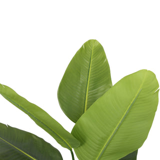 New Artificial Traveler Banana Tree 120CM