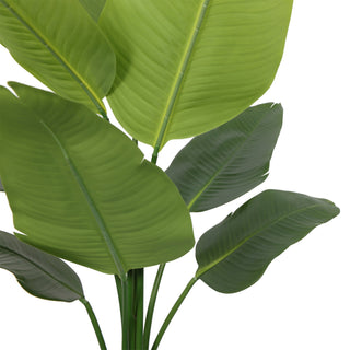 New Artificial Traveler Banana Tree 120CM