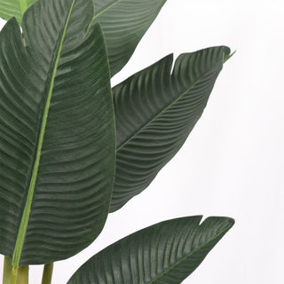 Artificial Traveller Banana Tree 120CM Height