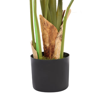 Artificial Traveller Banana Tree 120CM Height