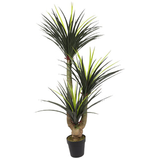 Artificial Yucca Elephantipes 140CM Height Indoor 160 Leaves