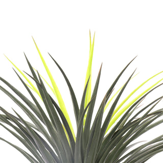 Artificial Yucca Elephantipes 140CM Height Indoor 160 Leaves