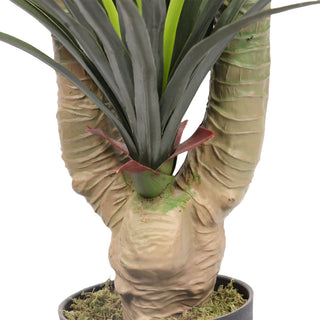 Artificial Yucca Elephantipes 140CM Height Indoor 160 Leaves