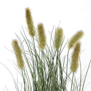 Artificial Grass Plants with Green Hippocampus Flowers 60CM