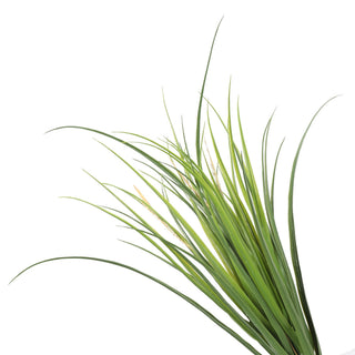 Artificial Reed Grass Deluxe 60CM Green UV Protected