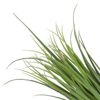 Artificial Reed Grass Deluxe 60CM Green UV Protected